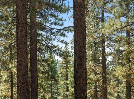 1065 Lucerne Way, Incline Village, NV 89451 Photo