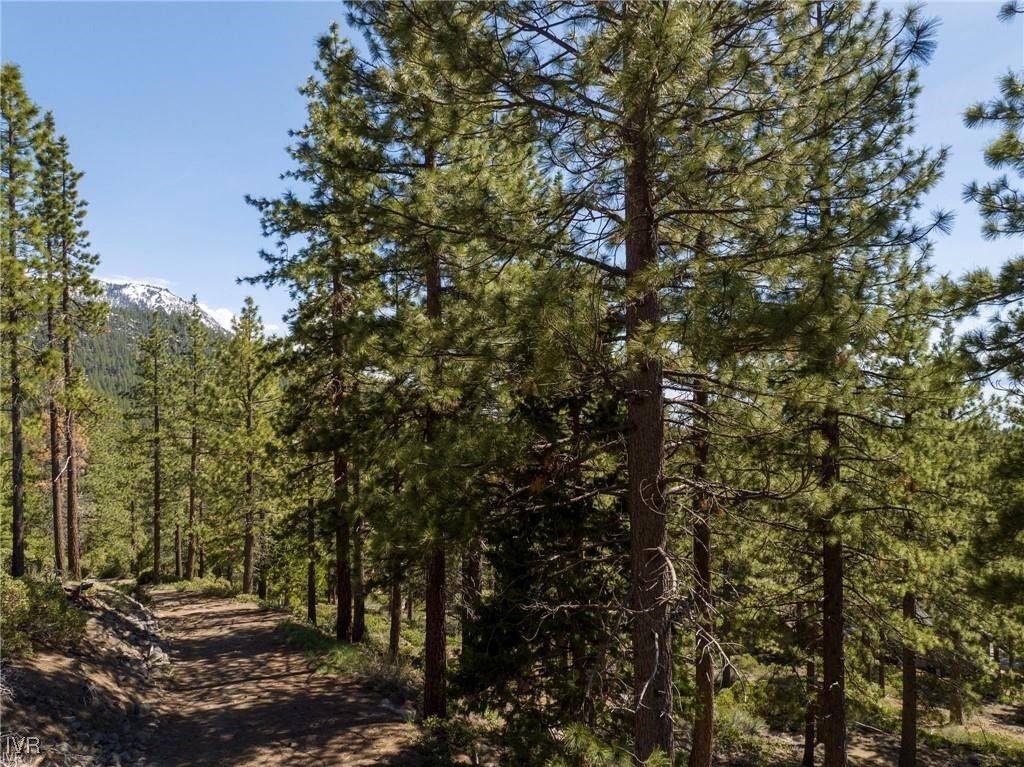 1065 Lucerne Way, Incline Village, NV 89451 Photo