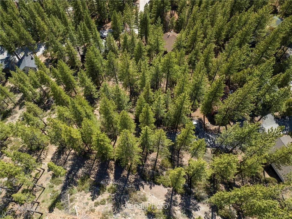 1065 Lucerne Way, Incline Village, NV 89451 Photo