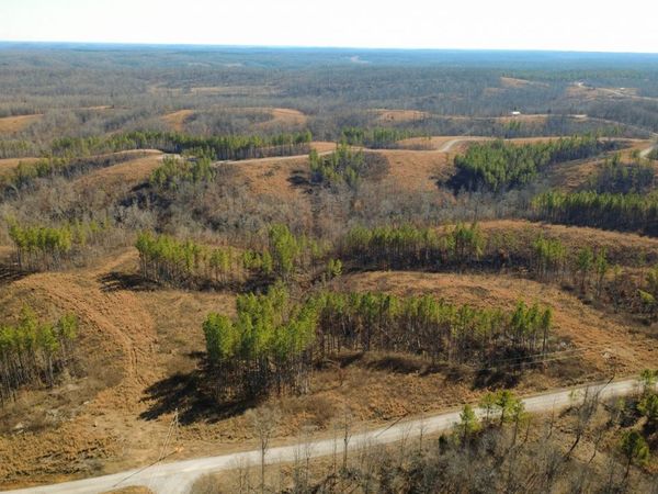 45 Saddleback Dr, Dover, TN 37058