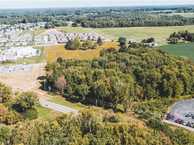 43429 County Line Road, Columbiana, OH 44408 Photo 3