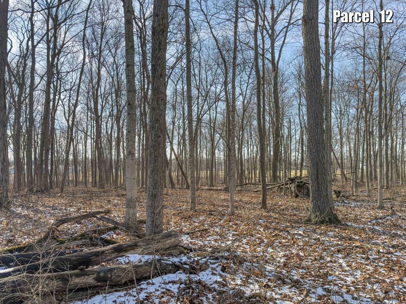 0 Hinton Mill Road, Marysville, OH 43040 Photo 19