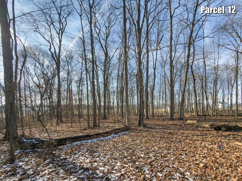 0 Hinton Mill Road, Marysville, OH 43040 Photo 20