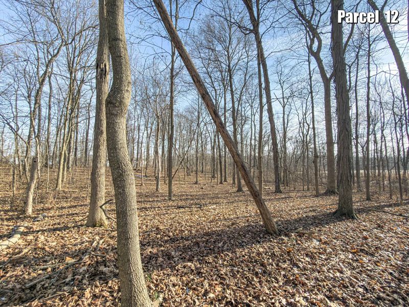 0 Hinton Mill Road, Marysville, OH 43040 Photo 21