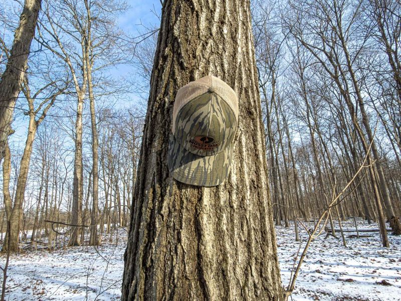 0 Hinton Mill Road, Marysville, OH 43040 Photo 46