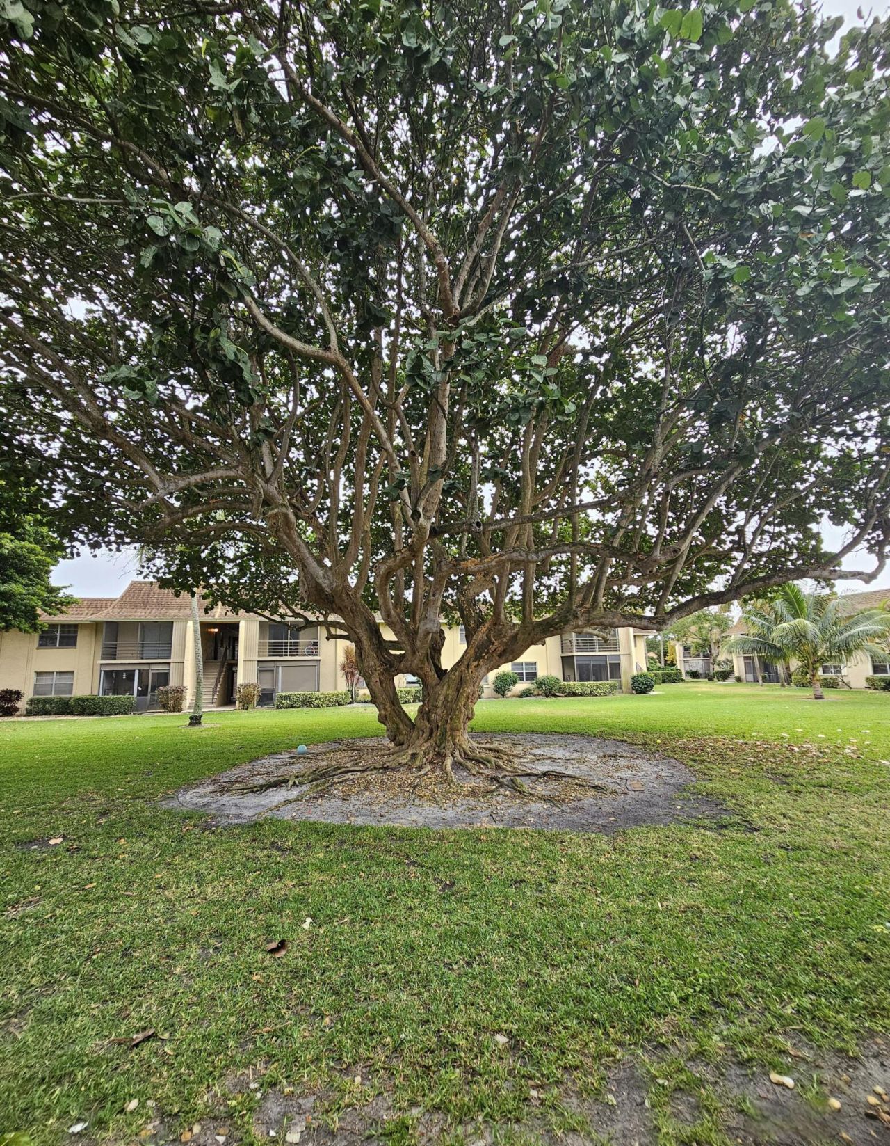 1271 NW 13th Street, Unit 460e, Boca Raton, FL 33486 Photo