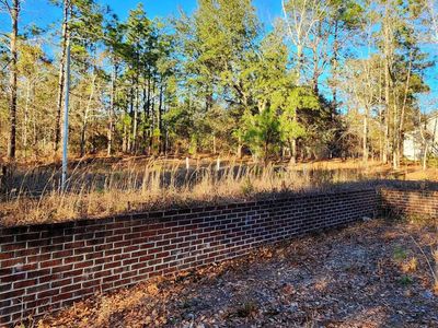 708 Calvary Church Road, Swansea, SC 29160
