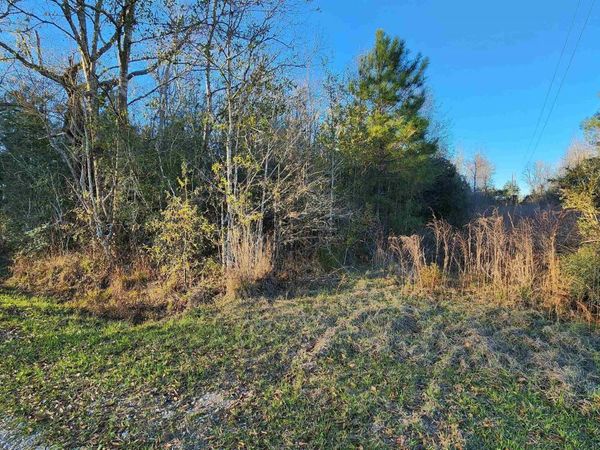 171 Sam Crouch Road, Montpelier, LA 70422