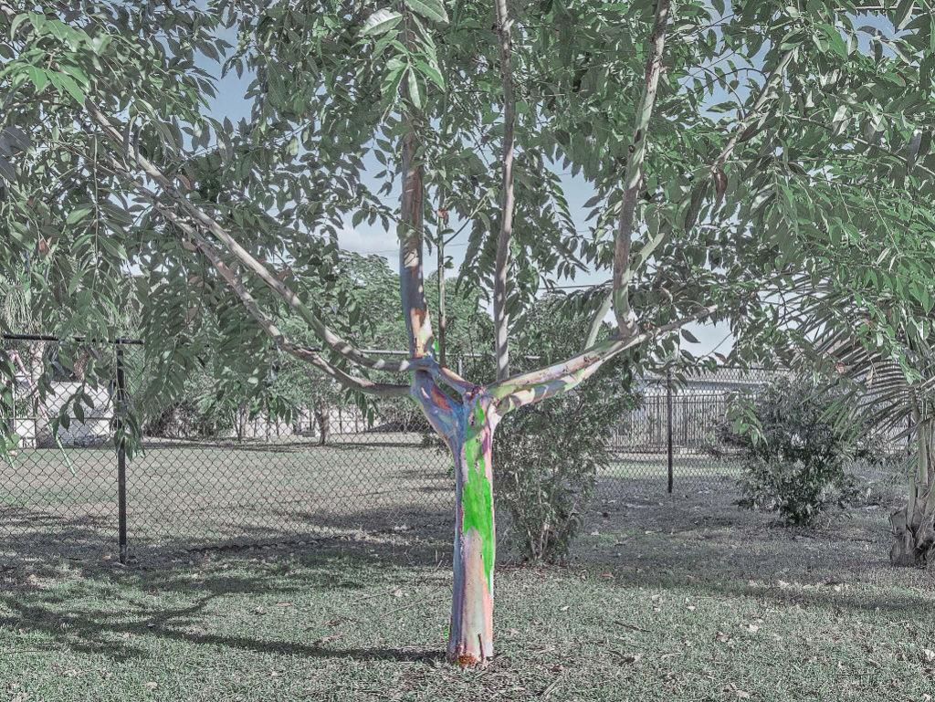 2485 SE Saphire Ter Terrace, Port Saint Lucie, FL 34952 Photo