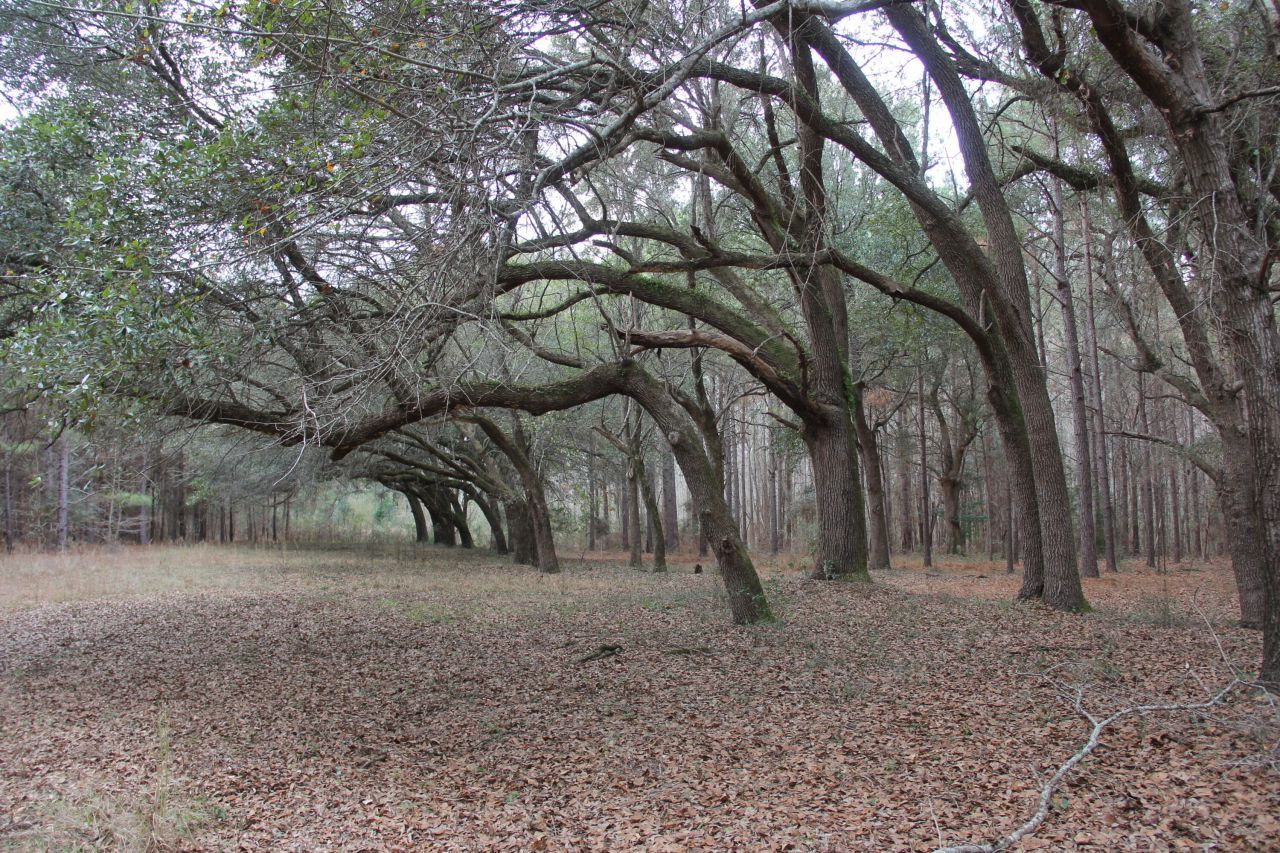 00 Raymond Rd Road Photo 10