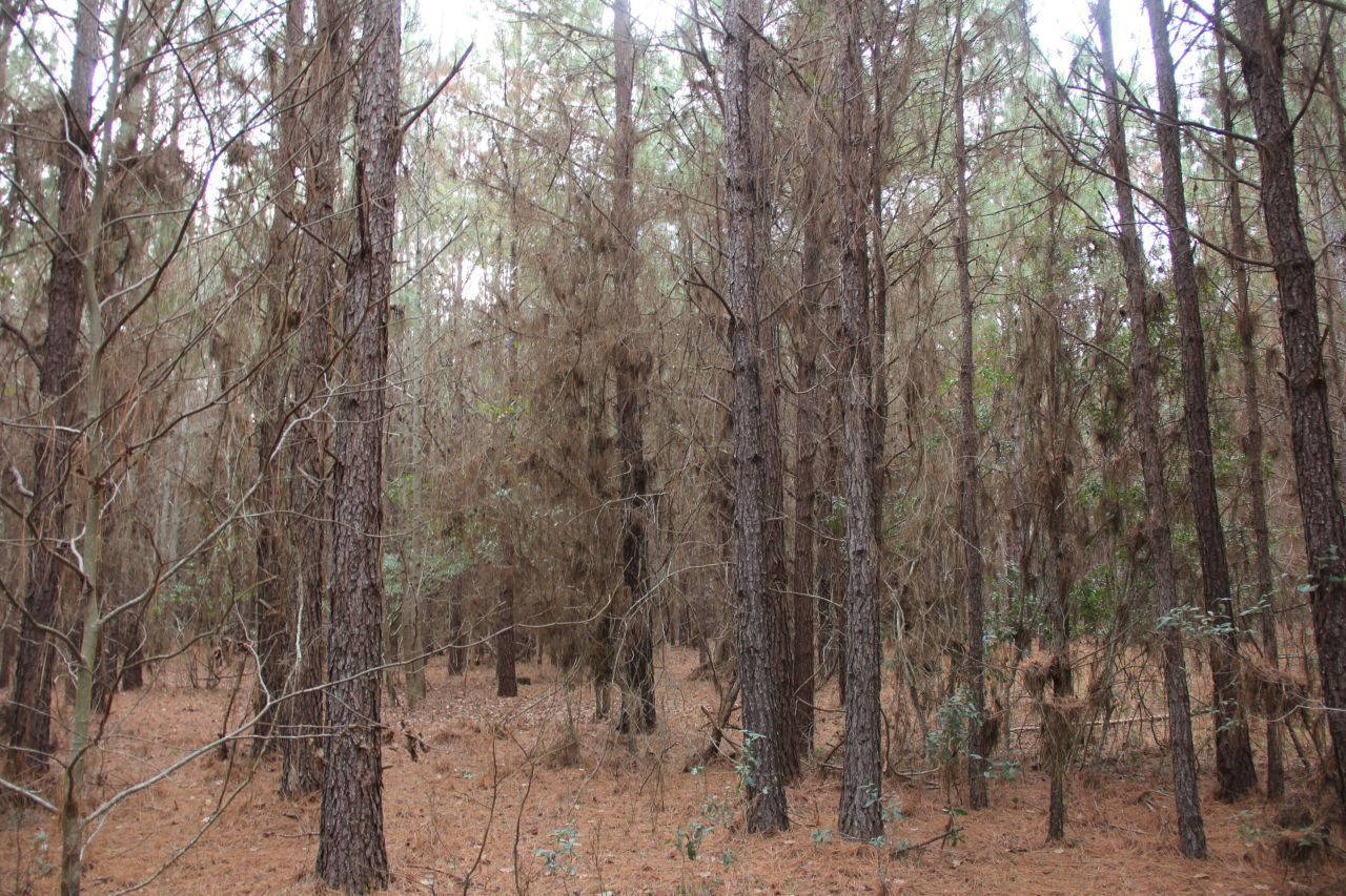 00 Raymond Rd Road Photo 11