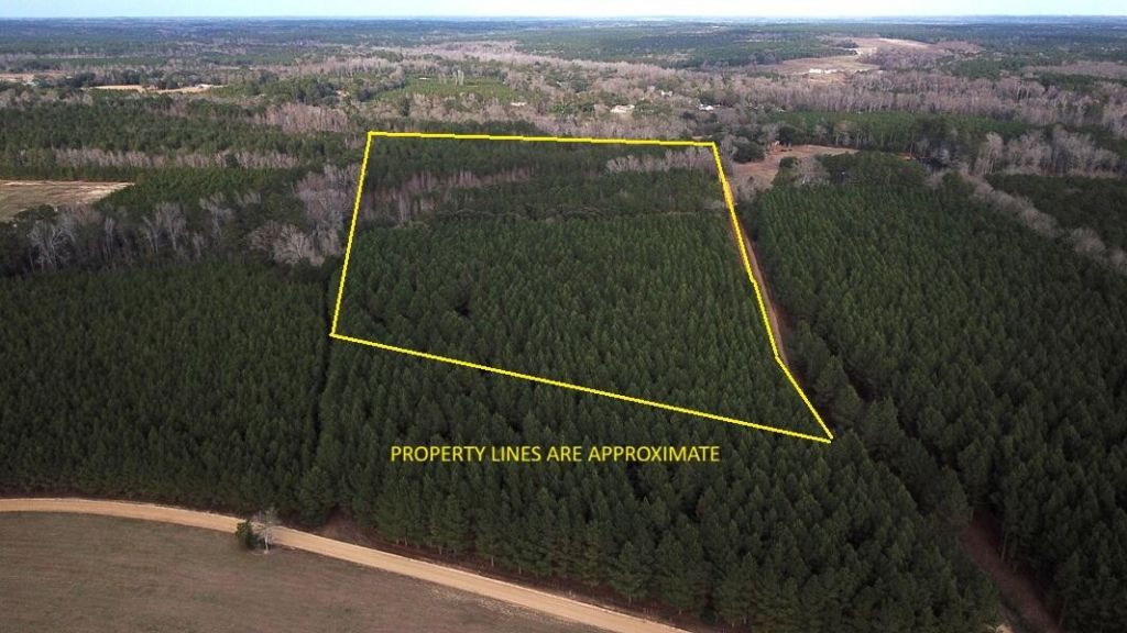 00 Raymond Rd Road Photo 2