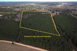 00 Raymond Rd Road photo 4