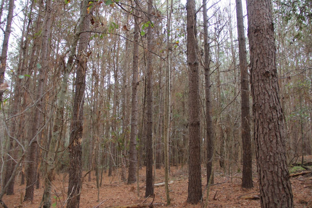 00 Raymond Rd Road Photo 4