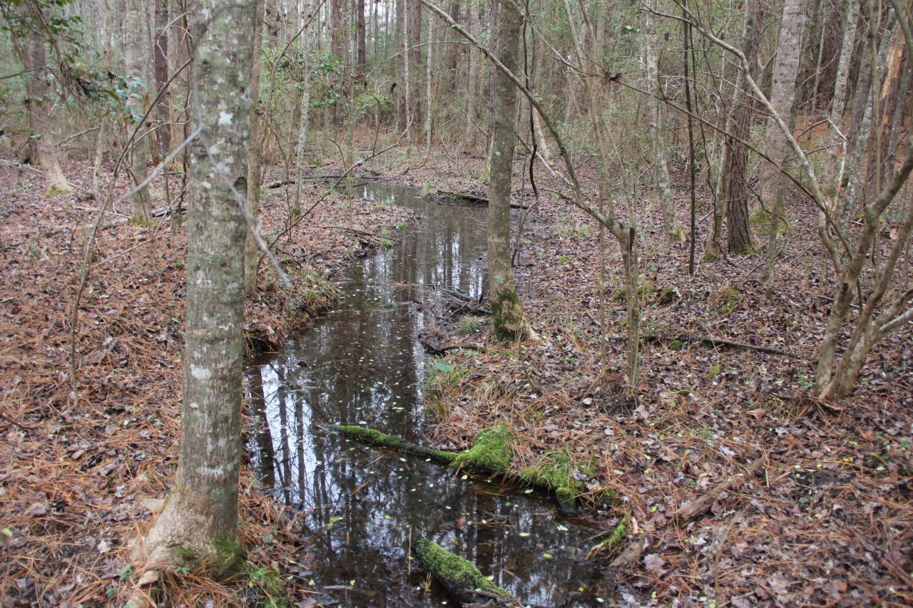 00 Raymond Rd Road Photo 5