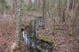 00 Raymond Rd Road photo 4