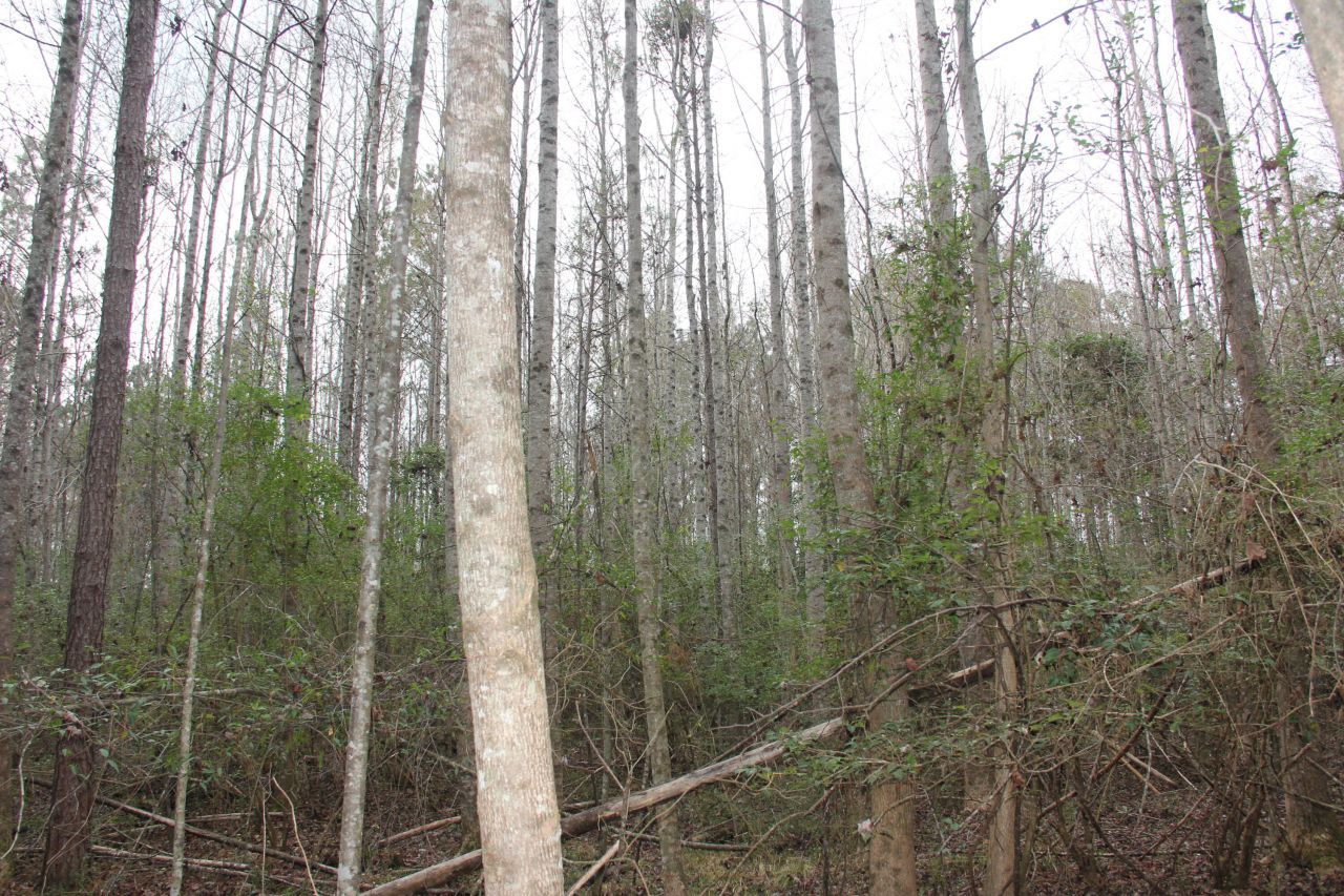 00 Raymond Rd Road Photo 6