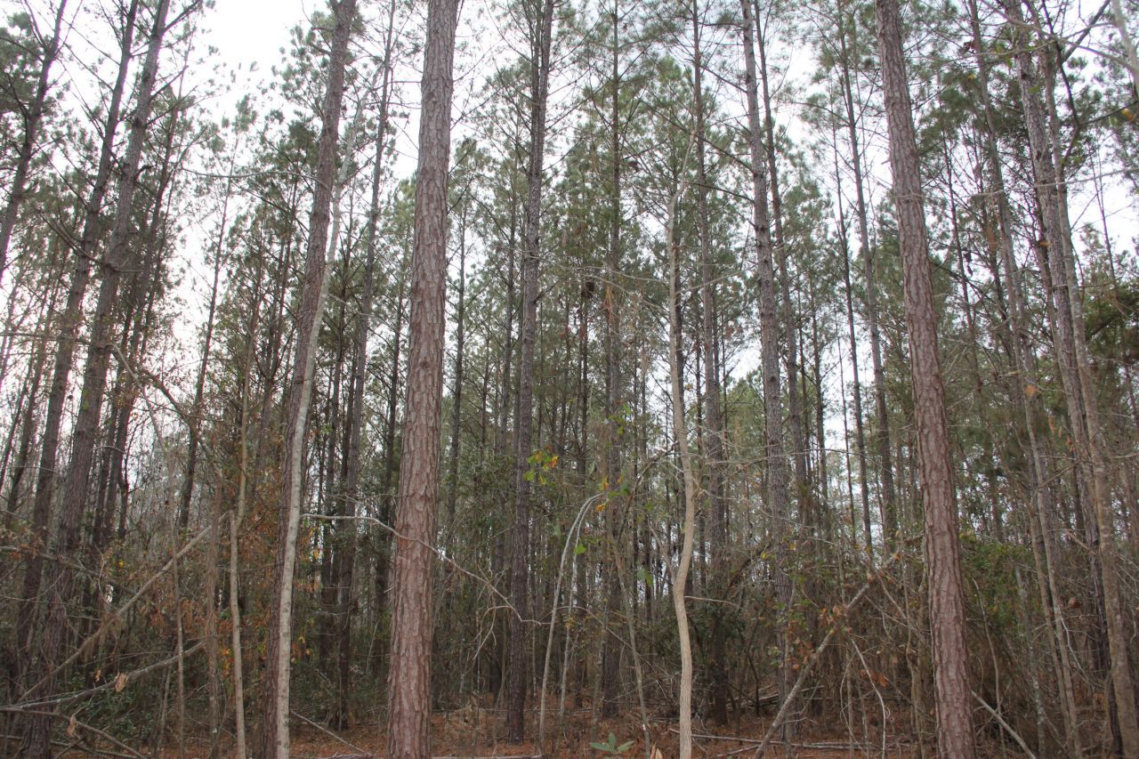 00 Raymond Rd Road Photo 7