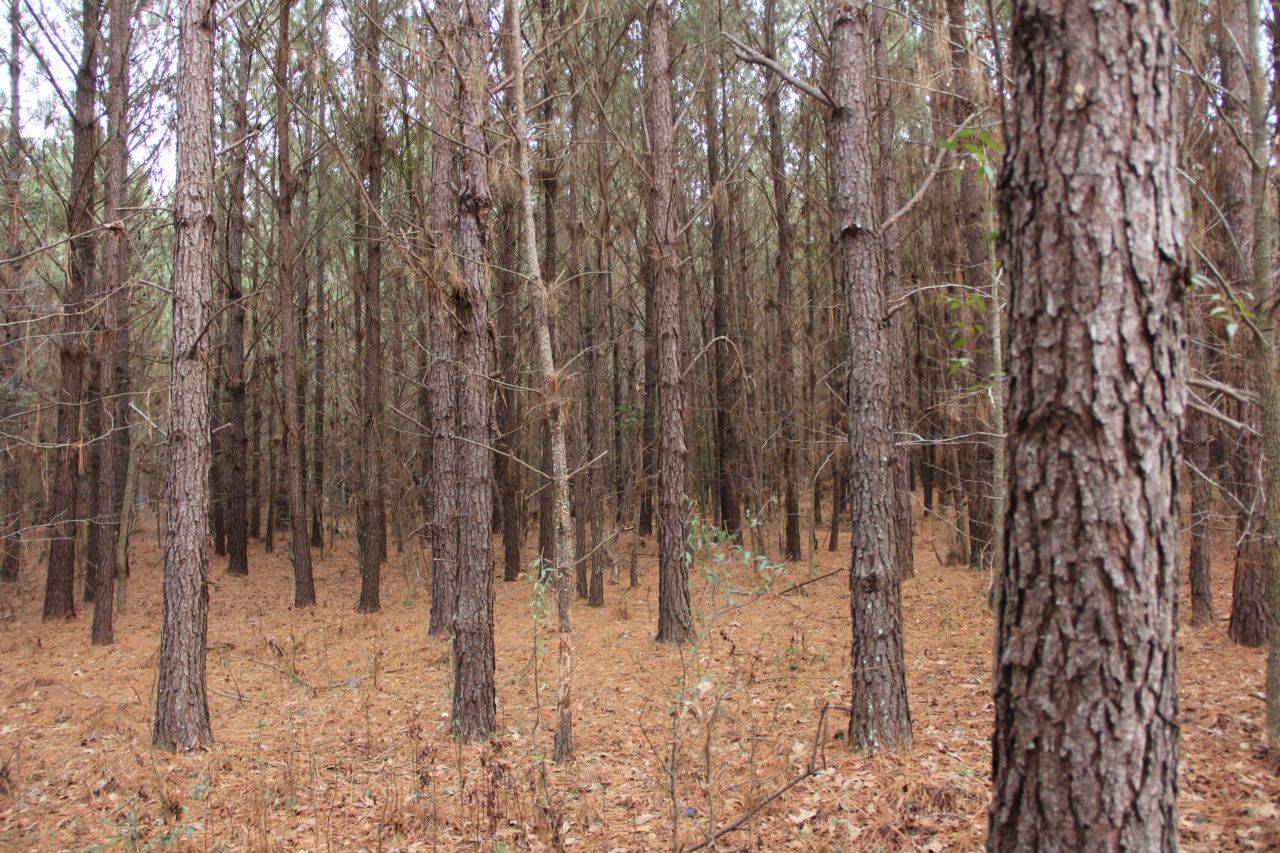 00 Raymond Rd Road Photo 8