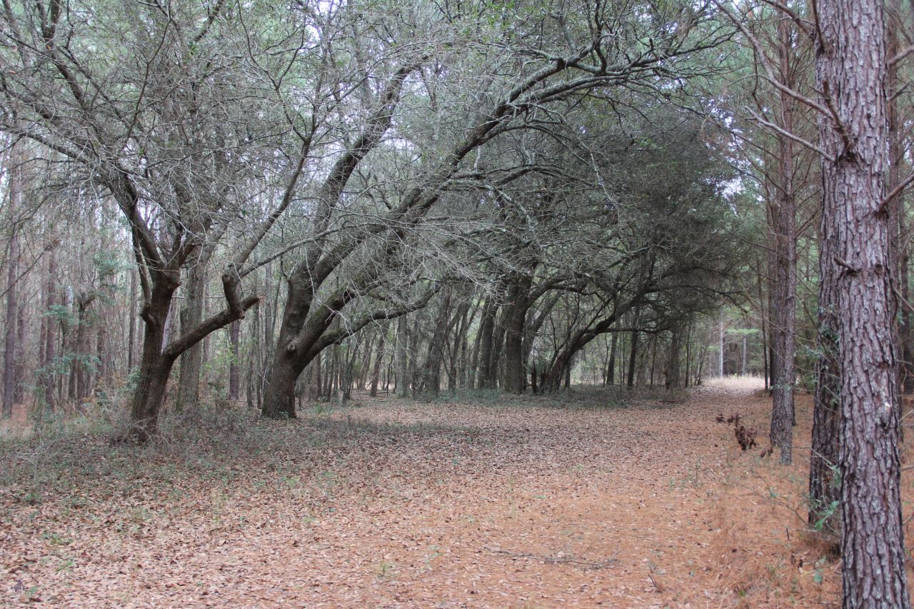 00 Raymond Rd Road Photo 9