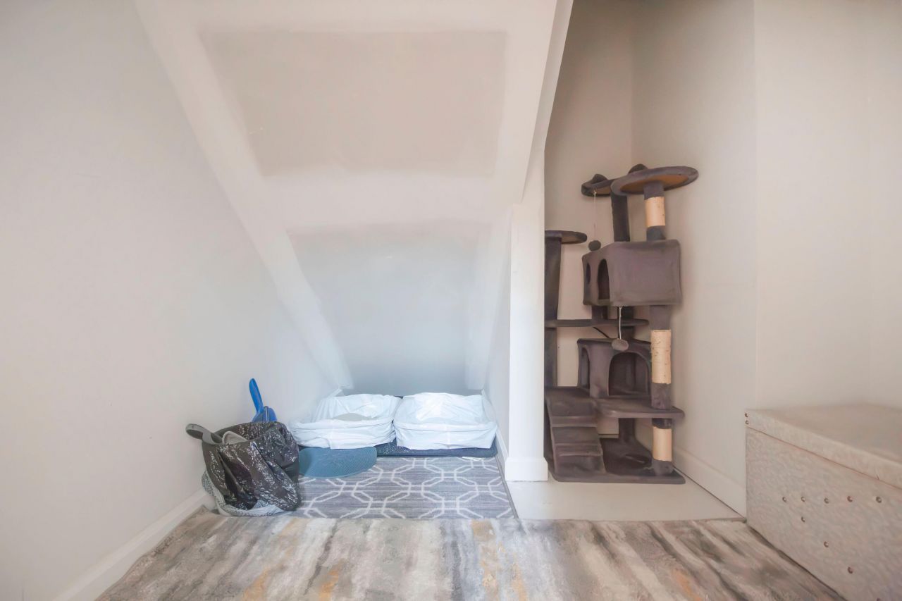 119 Abbey Terrace Road Photo 14