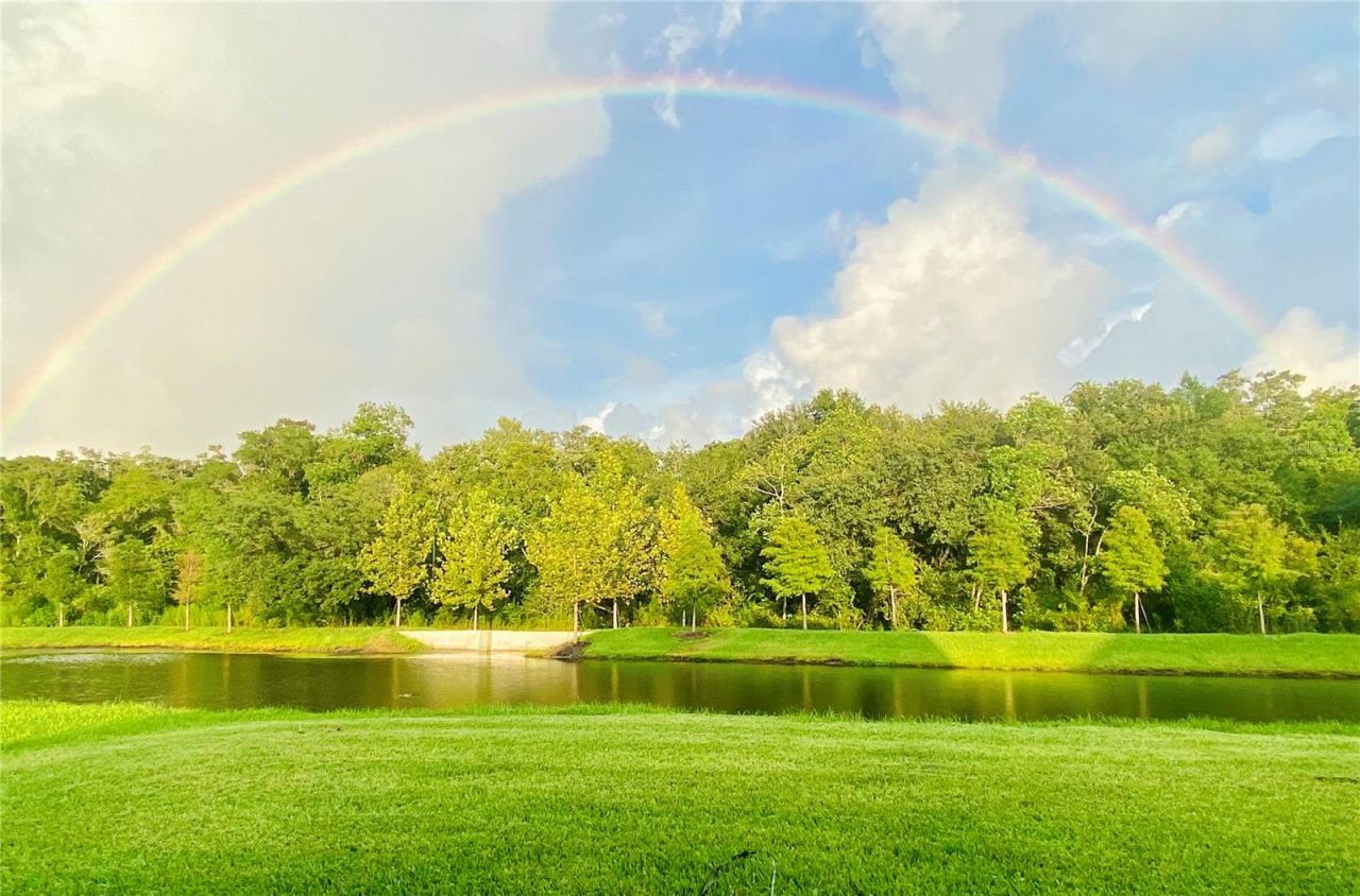 16454 Woodside Glen, Parrish, FL 34219 Photo