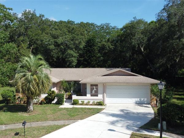 3405 DOVE HOLLOW COURT, PALM HARBOR, FL 34683