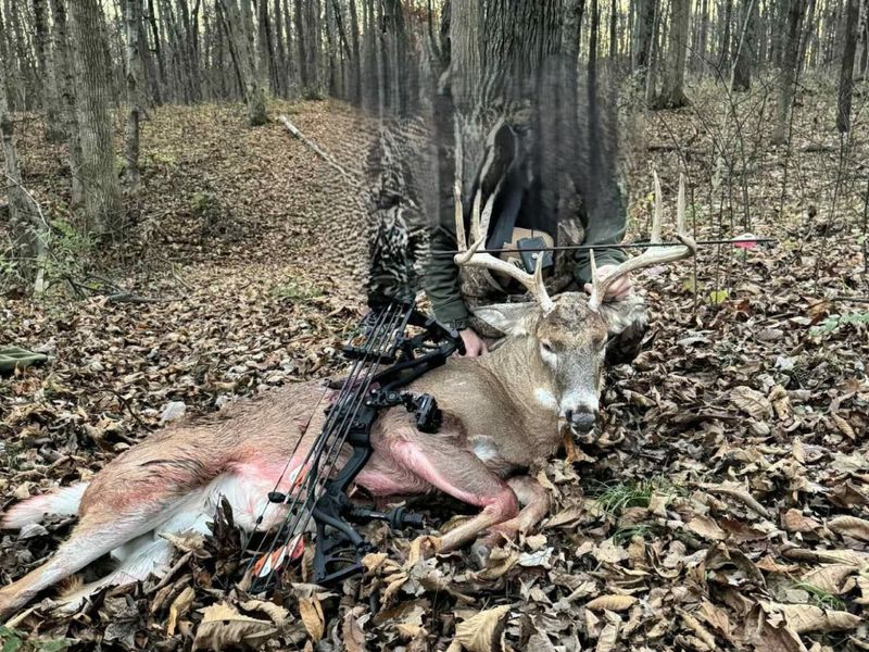 9161 Blackrabbit Road, Leesburg, OH 45135 Photo 63