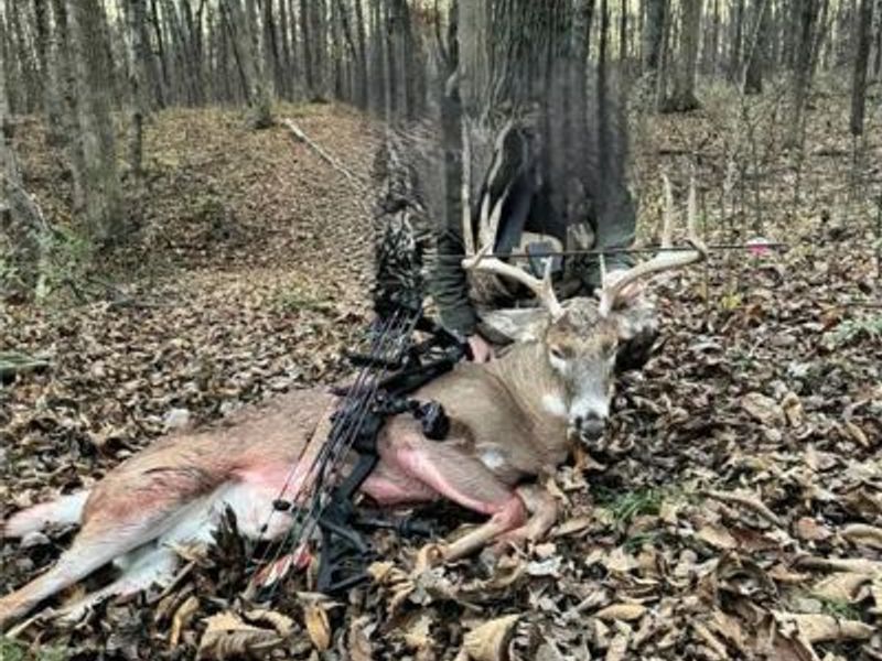 9161 Blackrabbit Road, Leesburg, OH 45135 Photo 63