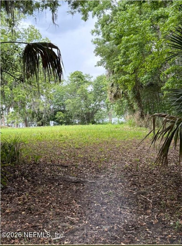 0 Weerts Road, San Mateo, FL 32187 Photo