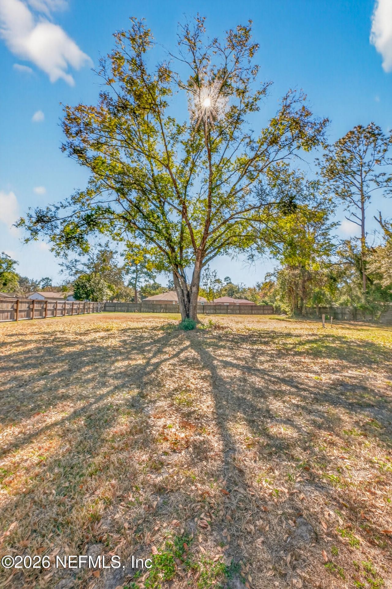 8294 Collins Road, Jacksonville, FL 32244 Photo