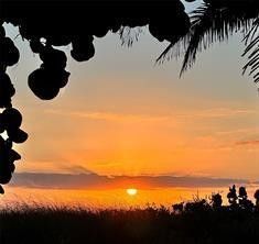 2400 NE 10th Street, Unit 205, Pompano Beach, FL 33062 Photo