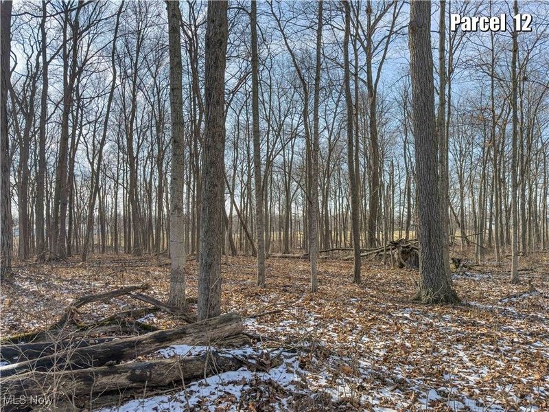 0 Hinton Mill Road, Marysville, OH 43040 Photo 18