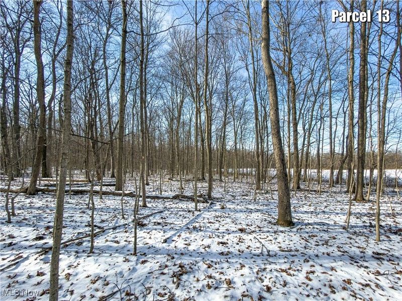 0 Hinton Mill Road, Marysville, OH 43040 Photo 44