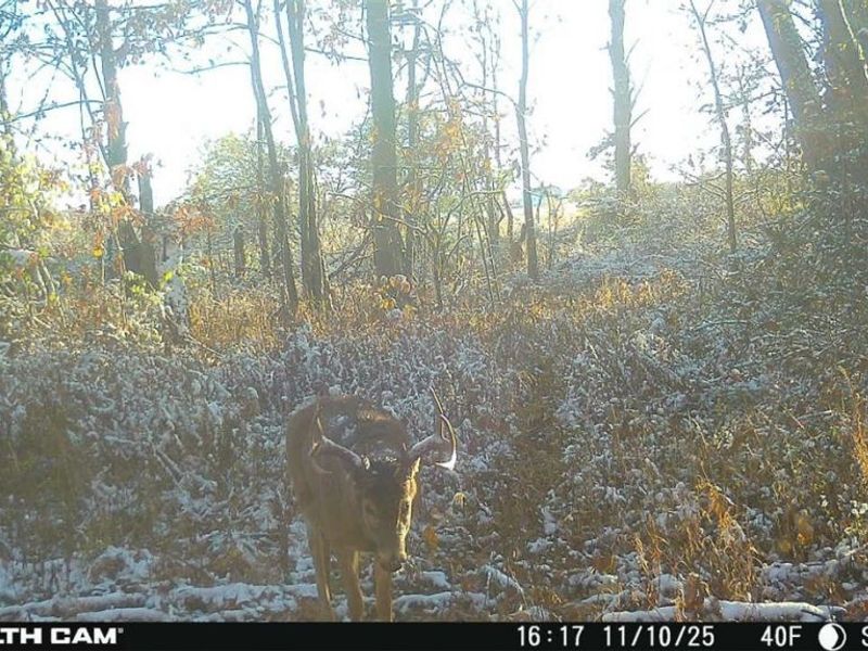 0 Hinton Mill Road, Marysville, OH 43040 Photo 49