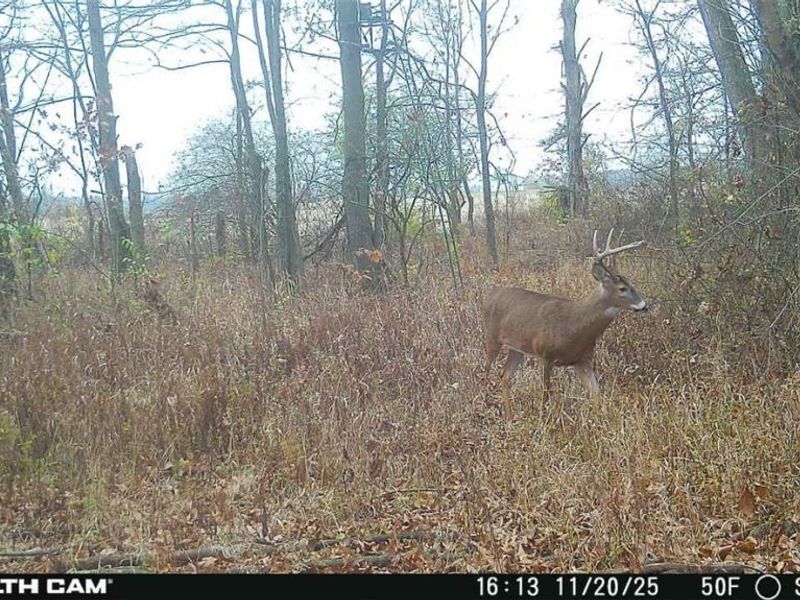 0 Hinton Mill Road, Marysville, OH 43040 Photo 50