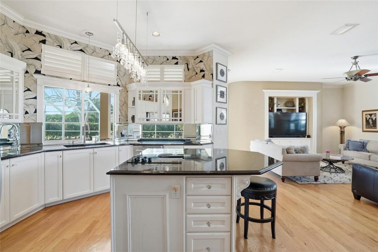 4092 Carlyle Lakes Boulevard, Palm Harbor, FL 34685 Photo