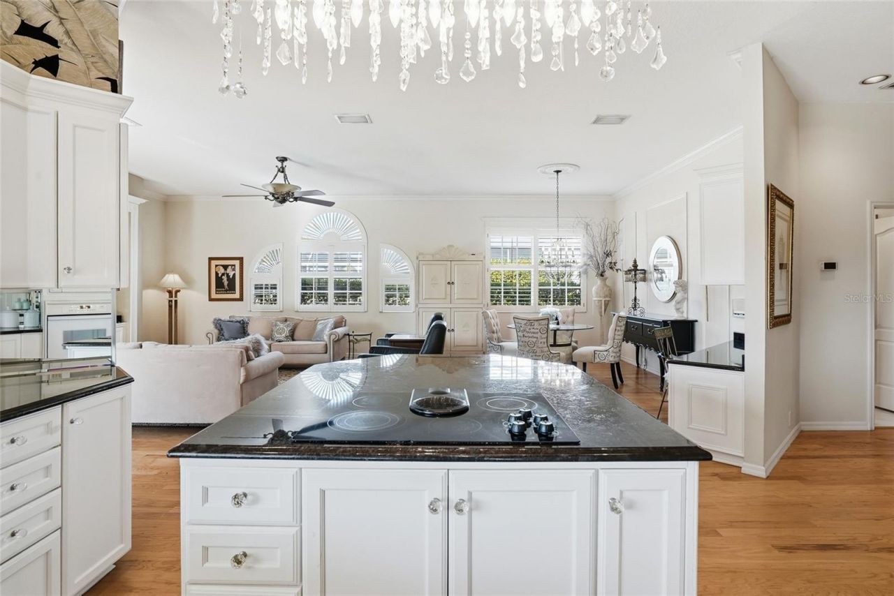 4092 Carlyle Lakes Boulevard, Palm Harbor, FL 34685 Photo