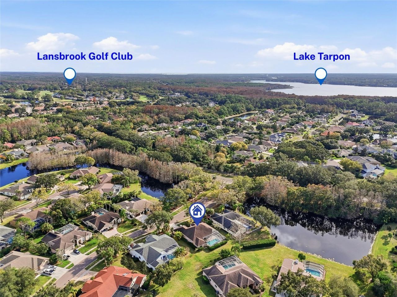 4092 Carlyle Lakes Boulevard, Palm Harbor, FL 34685 Photo