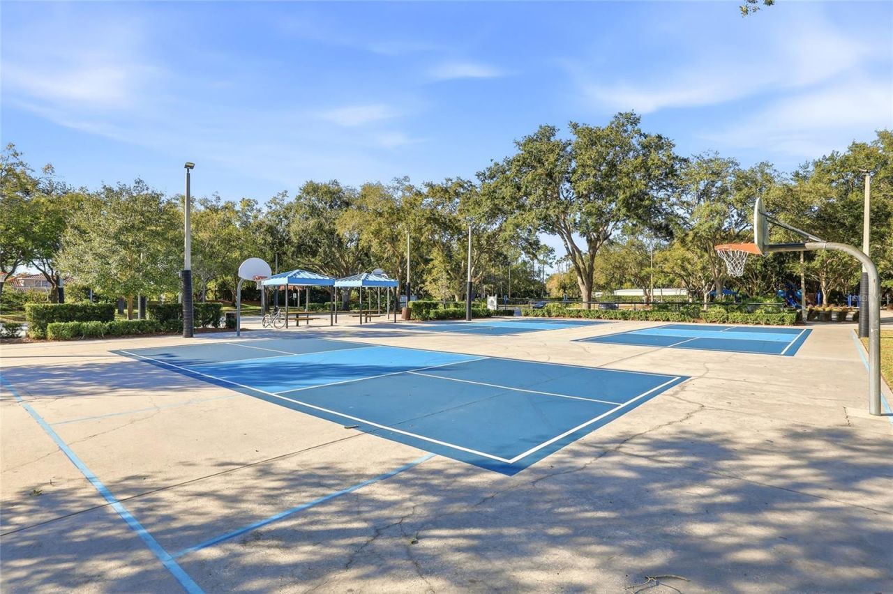 4092 Carlyle Lakes Boulevard, Palm Harbor, FL 34685 Photo