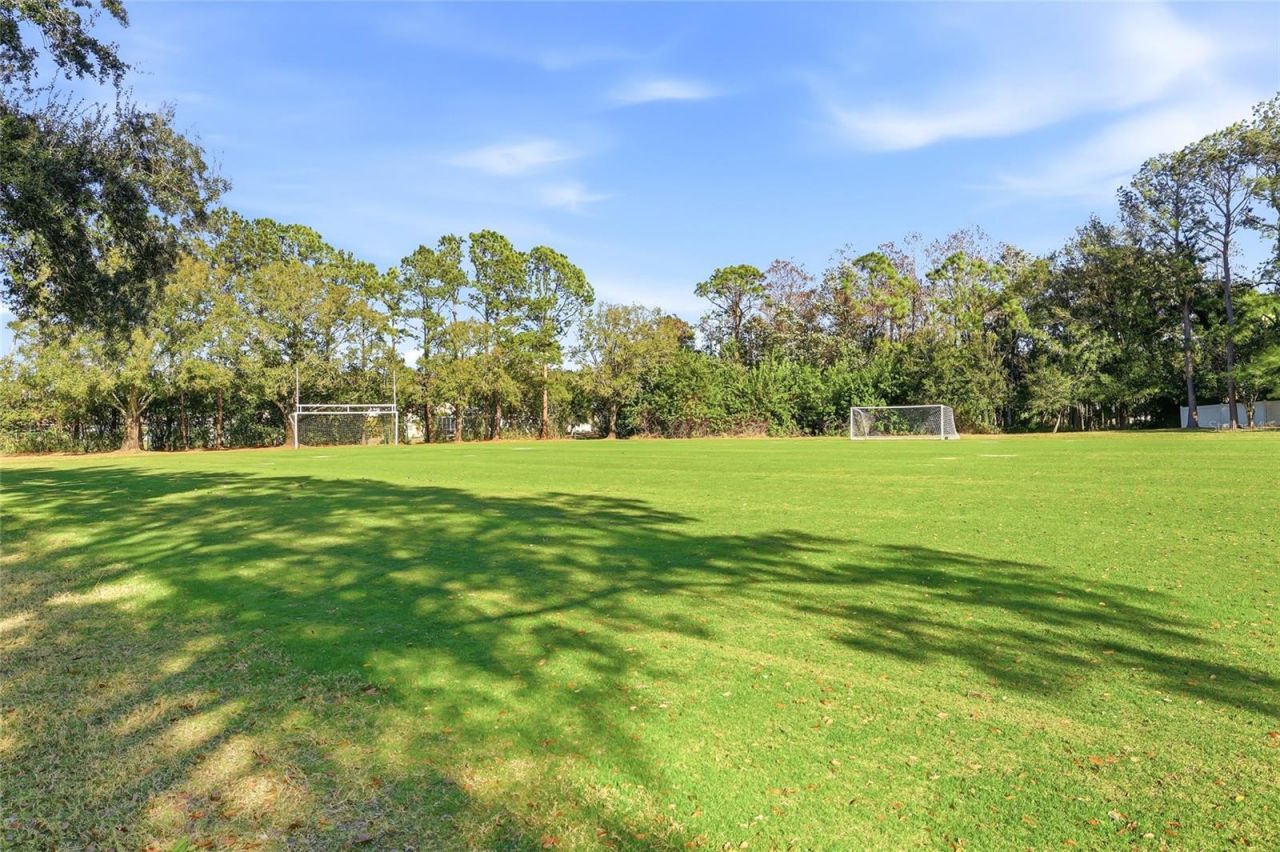 4092 Carlyle Lakes Boulevard, Palm Harbor, FL 34685 Photo