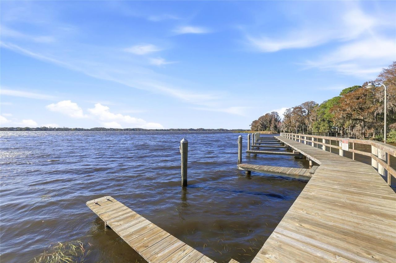 4092 Carlyle Lakes Boulevard, Palm Harbor, FL 34685 Photo