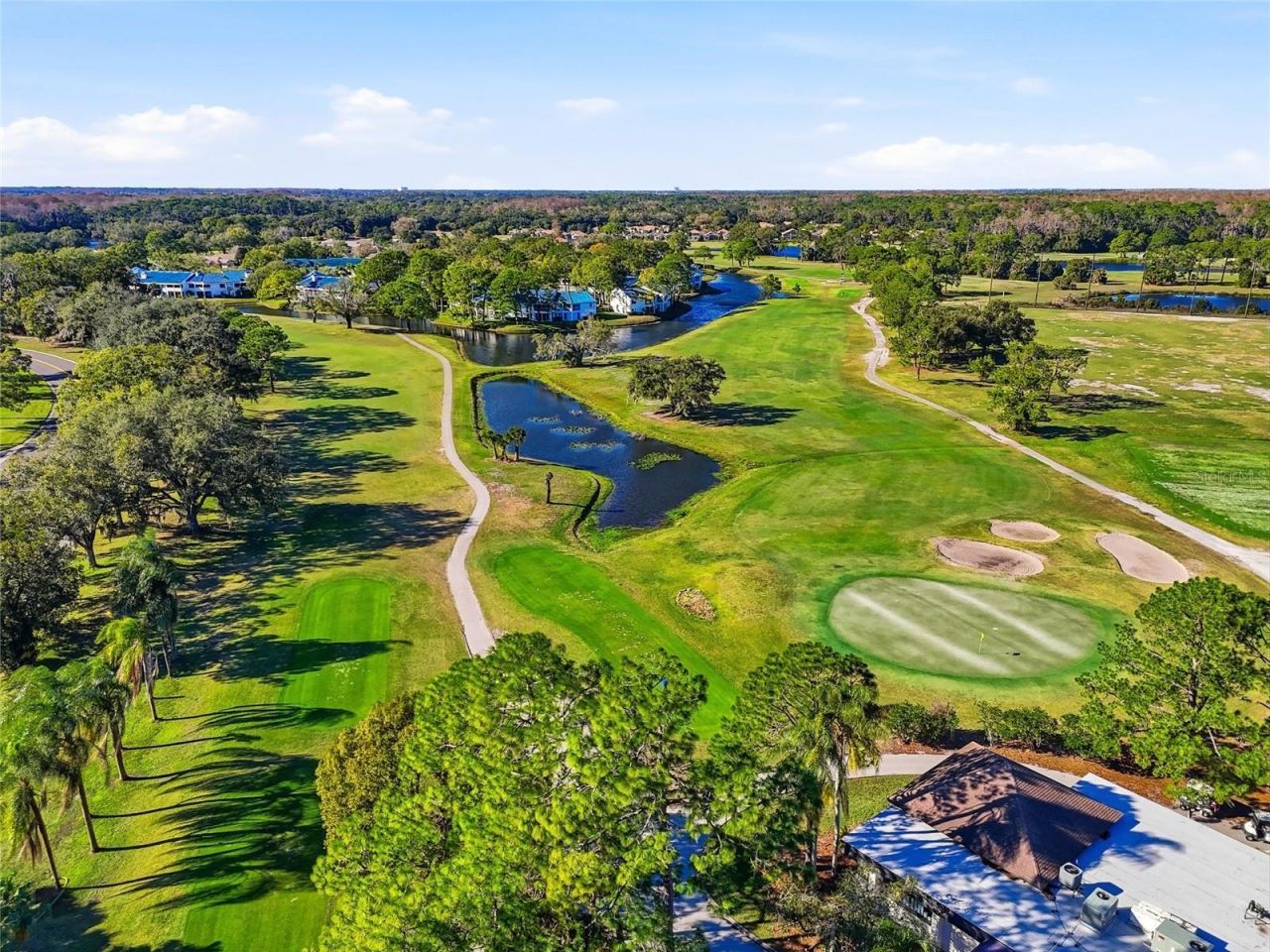 4092 Carlyle Lakes Boulevard, Palm Harbor, FL 34685 Photo