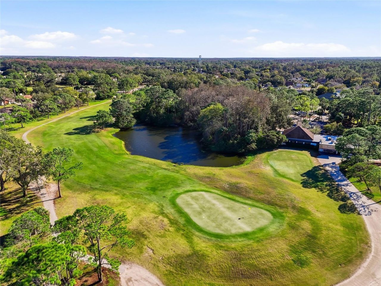 4092 Carlyle Lakes Boulevard, Palm Harbor, FL 34685 Photo