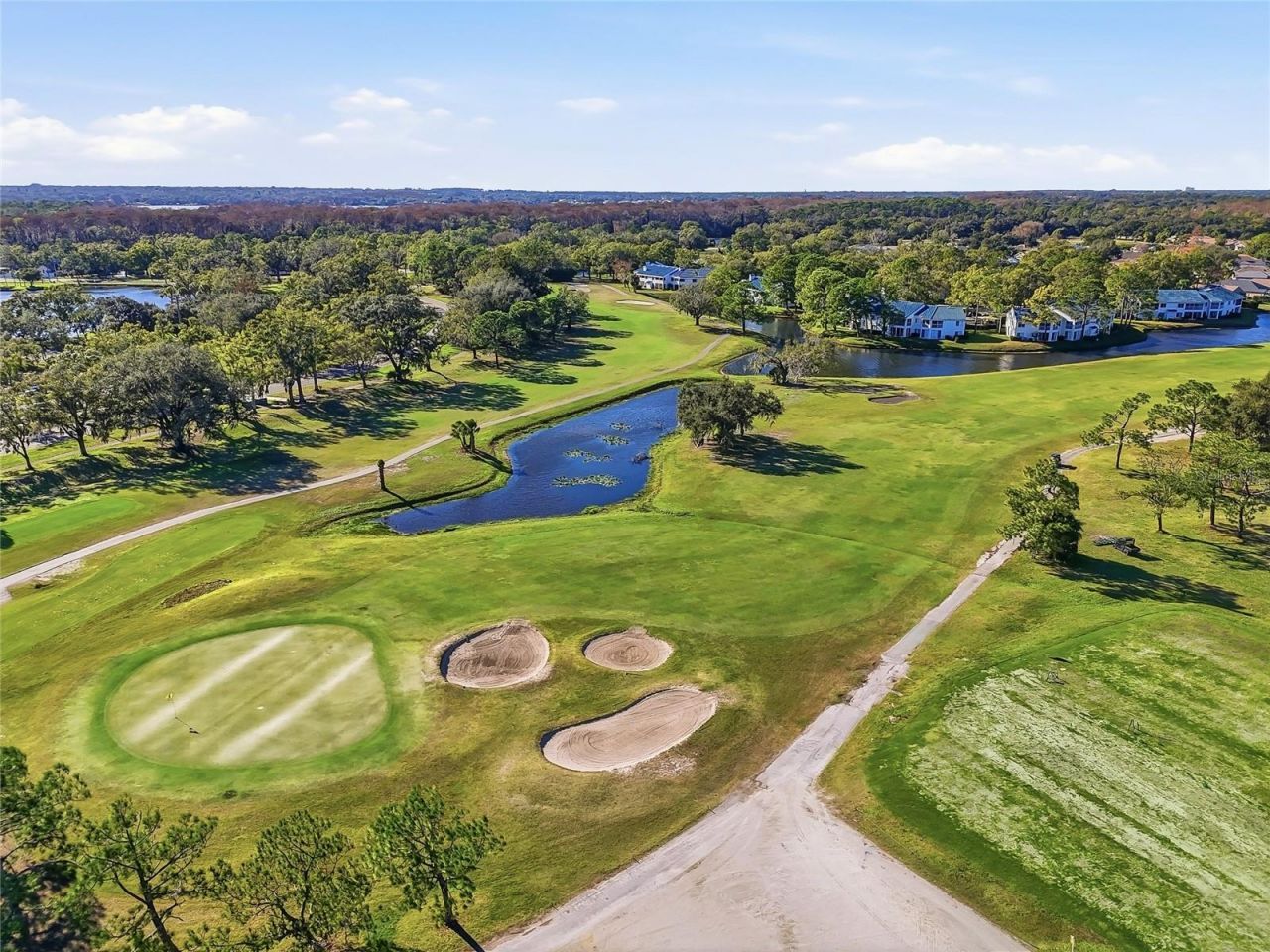 4092 Carlyle Lakes Boulevard, Palm Harbor, FL 34685 Photo