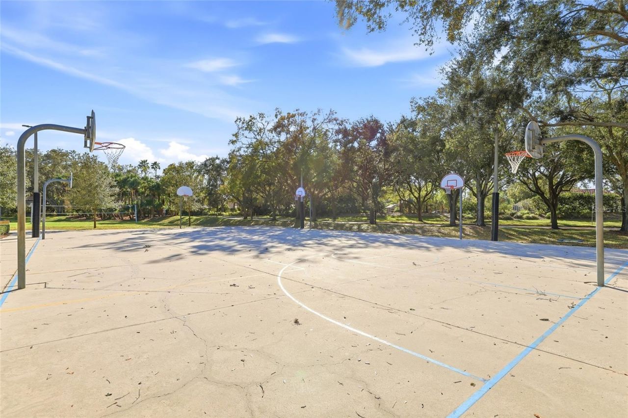 4092 Carlyle Lakes Boulevard, Palm Harbor, FL 34685 Photo