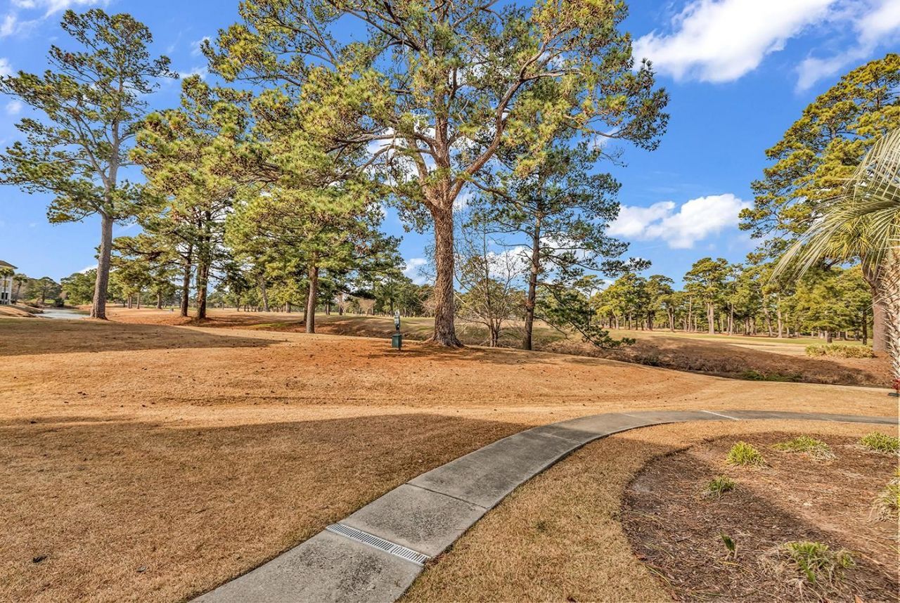 4773 Wild Iris Dr. Photo 22