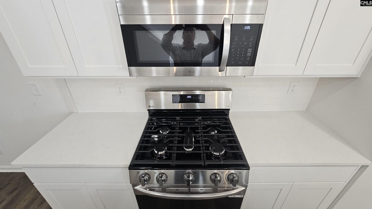 258 Sunny Hill Drive Photo 18