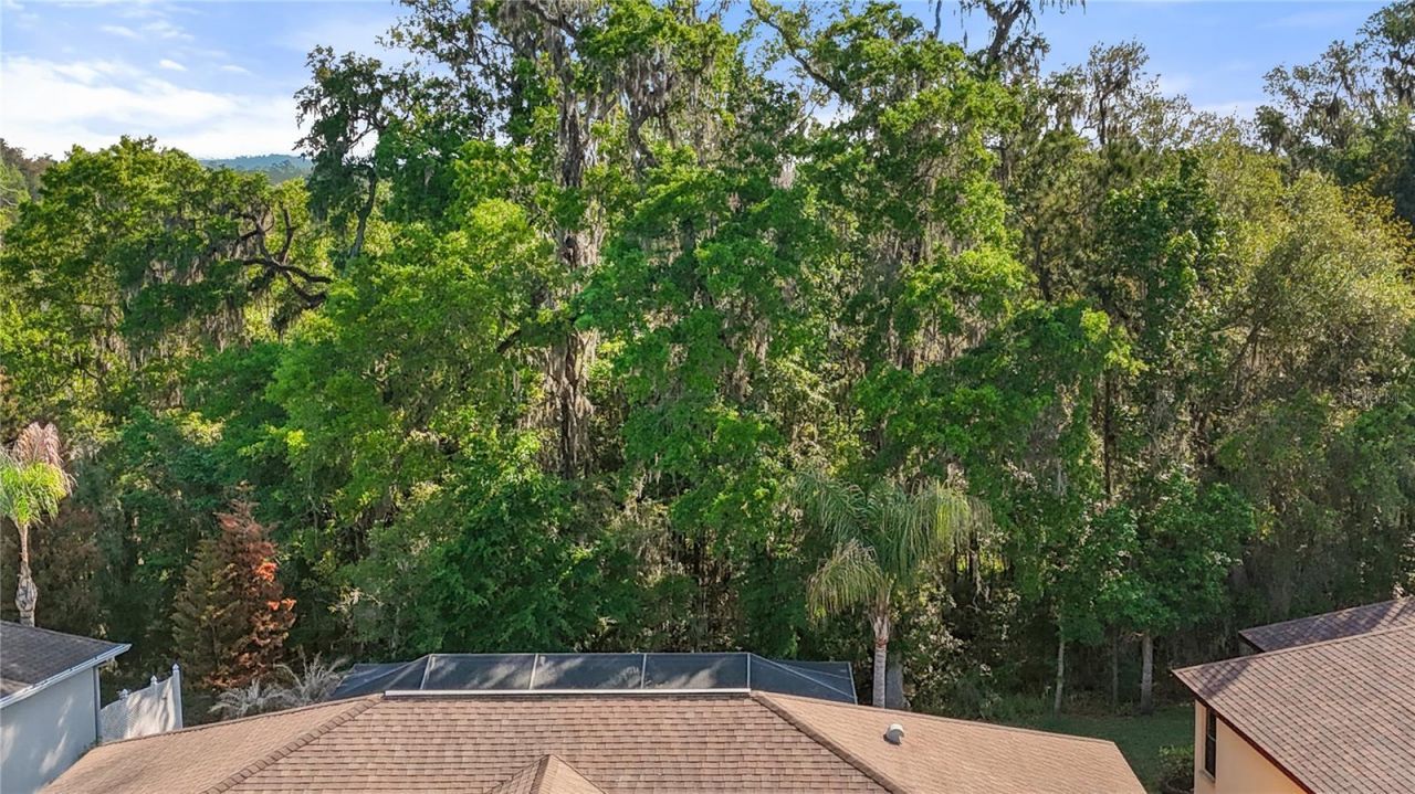 4240 Gevalia Drive, Brooksville, FL 34604 Photo