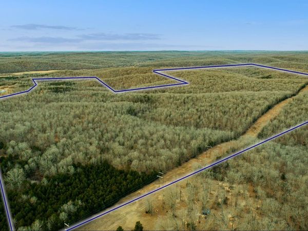 xxx Spring River Ranch Road, Williford, AR 72482